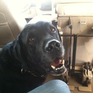 Meet your Posher, Brian